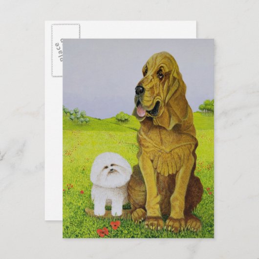 In functie briefkaart (Voorkant / Achterkant)