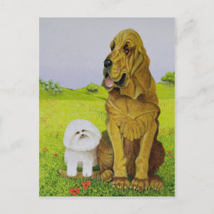 In functie briefkaart