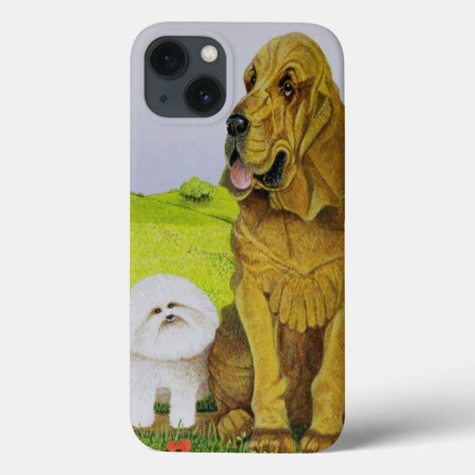 In functie Case-Mate iPhone case (Achterkant)