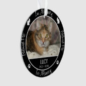 In Geheugen - Verlies van Kat - Aangepaste Foto /  Ornament (voorkant)