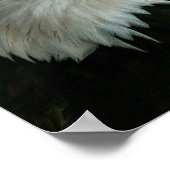 IN GOD VERTROUWEN WE POSTER (Hoek)