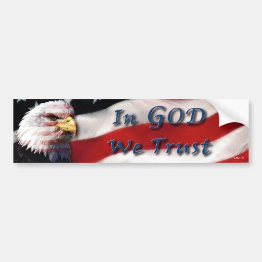 In God We Trust Bumpersticker (Voorkant)