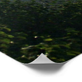 In Gods wildernis ligt de hoop van de wereld. Poster (Hoek)