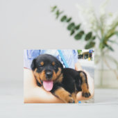 In goede handen briefkaart (Staand voorkant)