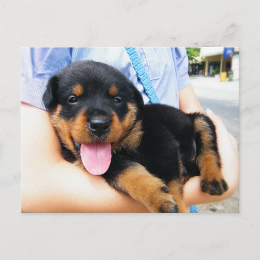 In goede handen briefkaart (Voorkant)