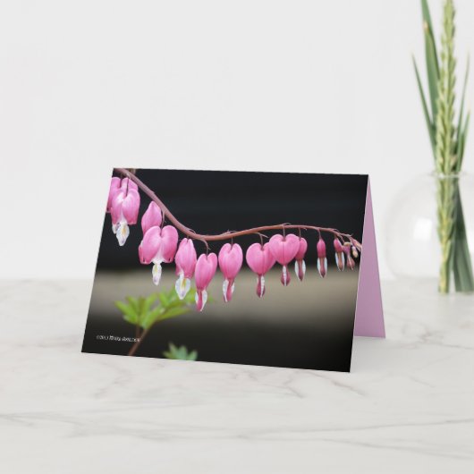 In Gunst Kaart (Voorkant)