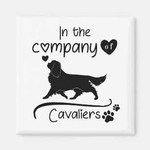 In het bedrijf Cavaliers Magneet