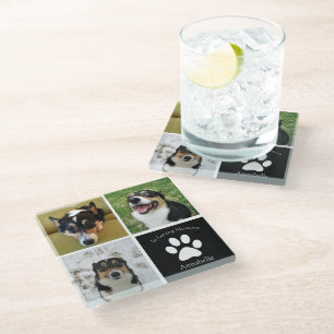 In het Behouden van de Aangepaste Dog Foto Collage Glazen Onderzetter