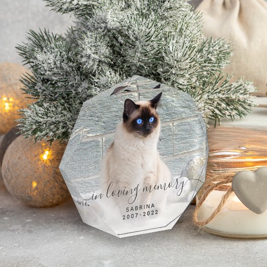 In het Behouden van Geheugen Foto grijs Script Pet