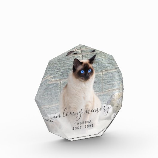 In het Behouden van Geheugen Foto grijs Script Pet (Links)