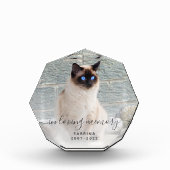 In het Behouden van Geheugen Foto grijs Script Pet (Voorkant)