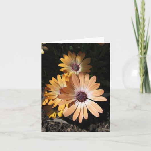 In het Bord Kaart (Voorkant)