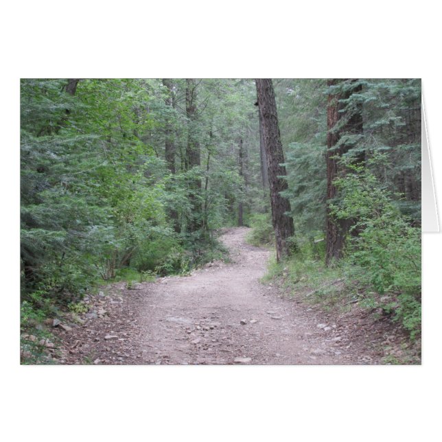 In het bos (Voorkant Horizontaal)