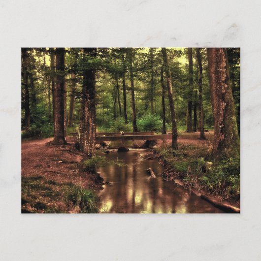 In het bos briefkaart (Voorkant)