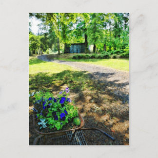 In het bos briefkaart