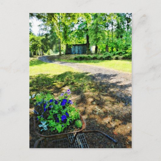 In het bos briefkaart (Voorkant)