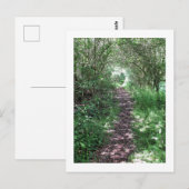 In het bos: Cheshire, Engeland Briefkaart (Voorkant / Achterkant)