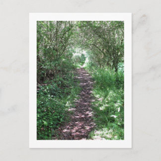 In het bos: Cheshire, Engeland Briefkaart