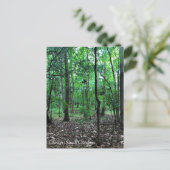 In het bos lopen, Chester, South Carolina Can Briefkaart (Staand voorkant)