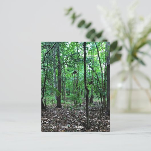 In het bos lopen, Chester, South Carolina Can Briefkaart (Staand voorkant)