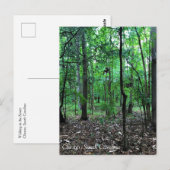 In het bos lopen, Chester, South Carolina Can Briefkaart (Voorkant / Achterkant)