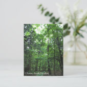 In het bos lopen, Chester, South Carolina Can Briefkaart (Staand voorkant)