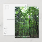 In het bos lopen, Chester, South Carolina Can Briefkaart (Voorkant / Achterkant)