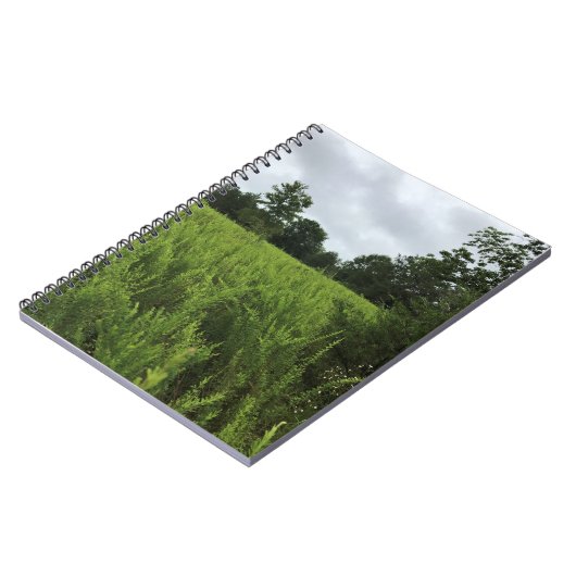 In het bos lopen, Chester, South Carolina Can Notitieboek (Linkerzijde)