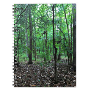 In het bos lopen, Chester, South Carolina Can Notitieboek