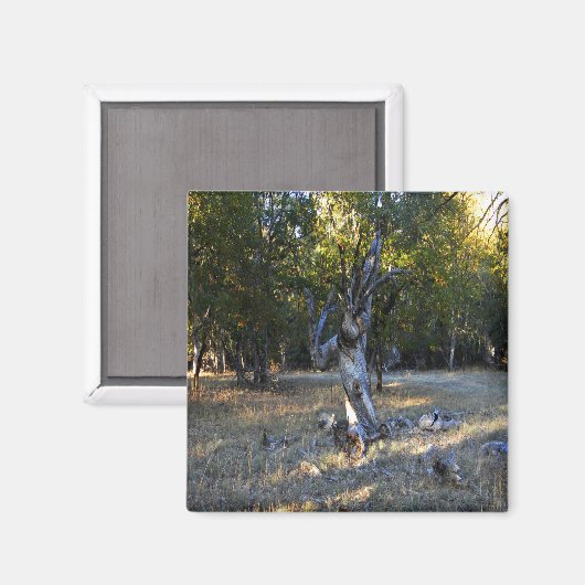 In het bos.... magneet (Voorkant / Achterkant)