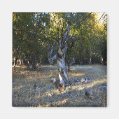 In het bos.... magneet (Voorkant)