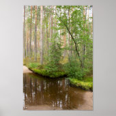 In het bos na de regen poster (Voorkant)