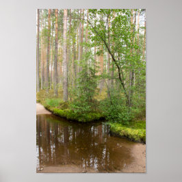 In het bos na de regen poster