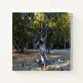 In het bos.... notitieboek (Achterkant)