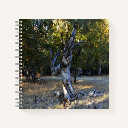 In het bos.... notitieboek (Voorkant)