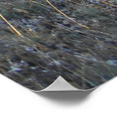 In het bos.... poster (Hoek)