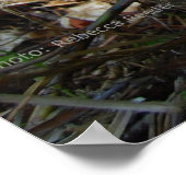 In het bos van de Orangutan School Poster (Hoek)