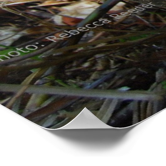 In het bos van de Orangutan School Poster (Hoek)