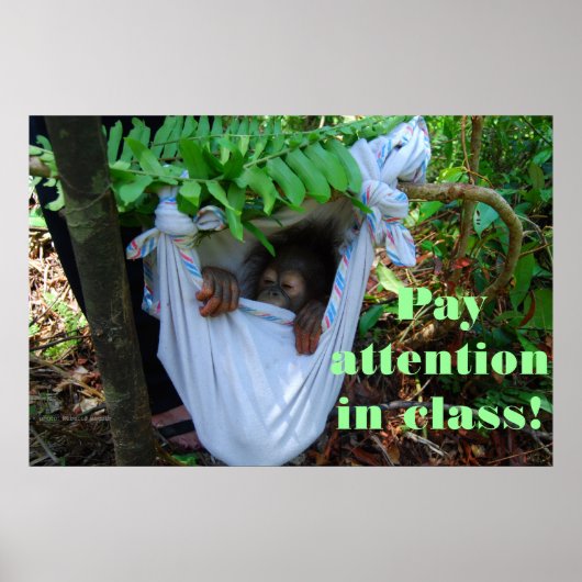 In het bos van de Orangutan School Poster (Voorkant)