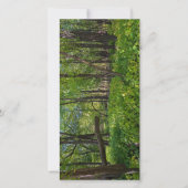 in het bos van fort snelling state park bedankkaart (Voorkant)