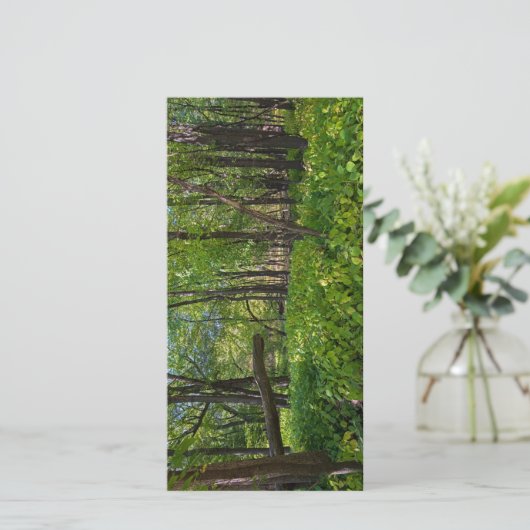 in het bos van fort snelling state park bedankkaart (Staand voorkant)