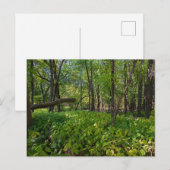 in het bos van fort snelling state park briefkaart (Voorkant / Achterkant)