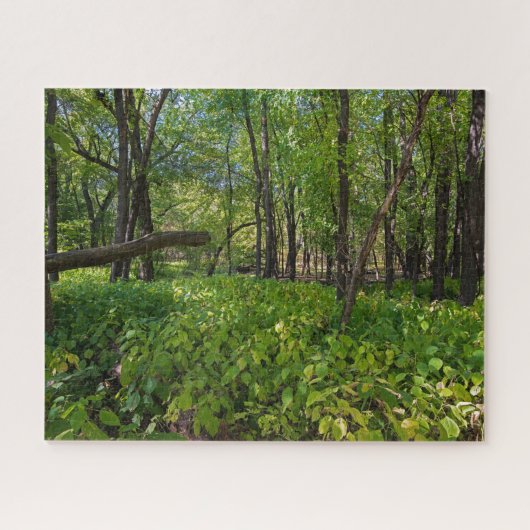 in het bos van fort snelling state park legpuzzel (Horizontaal)