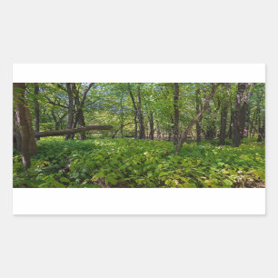 in het bos van fort snelling state park rechthoekige sticker