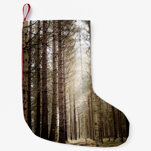 IN HET BOSTER KLEINE KERSTSOK (Voorkant)