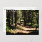 In het Briefkaart die van Pijnbomen - dichtbij Co (Voorkant / Achterkant)