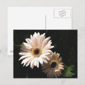 In het Briefkaart van de tuin (Voorkant / Achterkant)