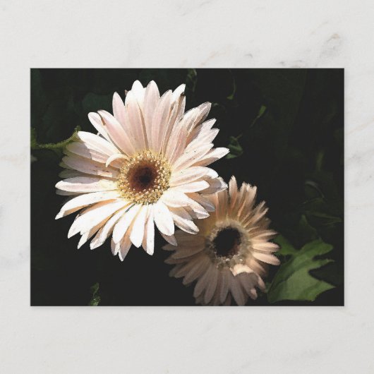 In het Briefkaart van de tuin (Voorkant)