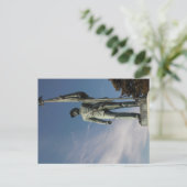 In het Briefkaart van de Zon (Staand voorkant)