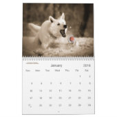 In het Dog House Fun Hondenliefhebber Date Kalender (Jan 2016)